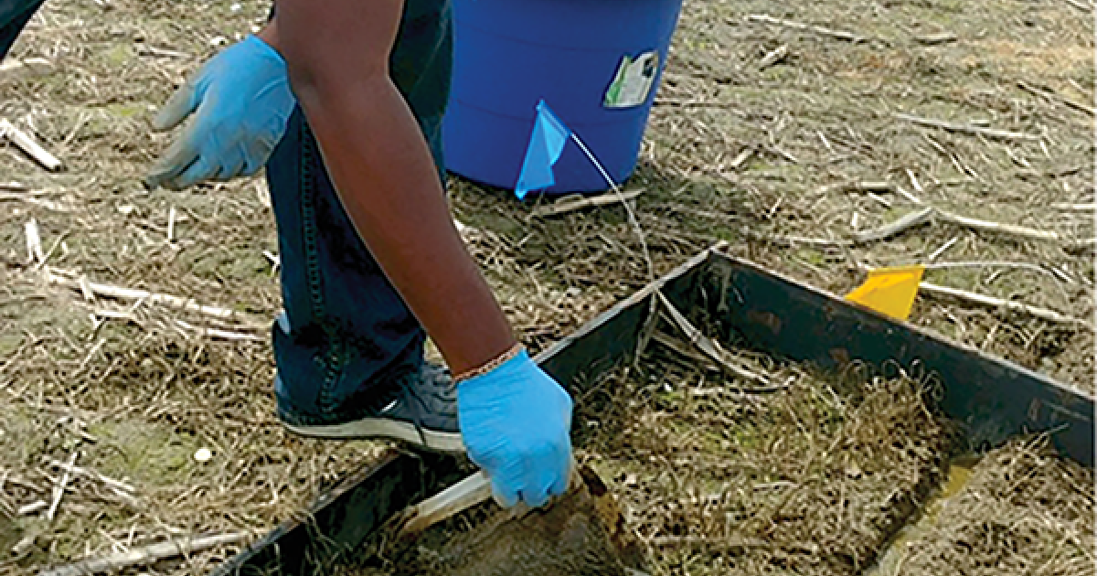 Manure subsurface injection reduces antibiotic-resistant bacteria ...