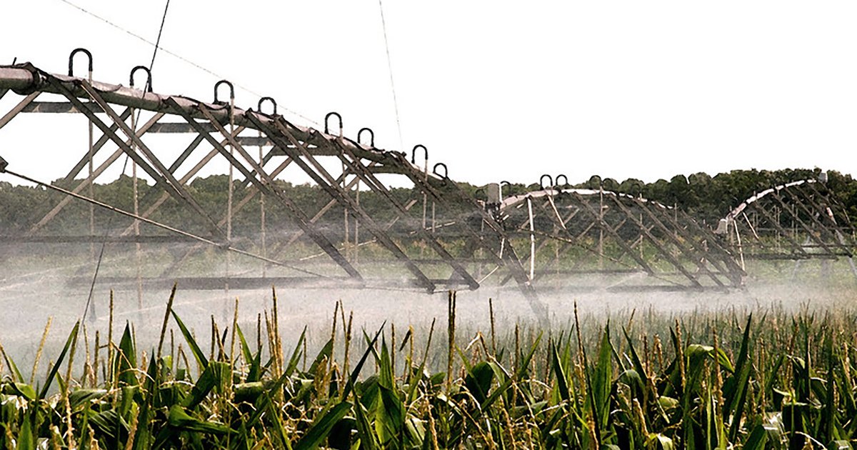Forage crop irrigation with wastewater: Understanding the exposure risk