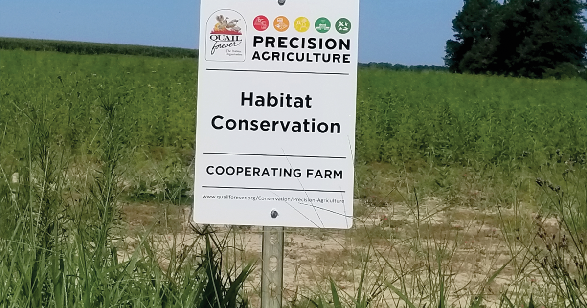 Precision Ag Conservation Rcpp Missouri Addressing Profitability With Conservation Programs | Science Societies
