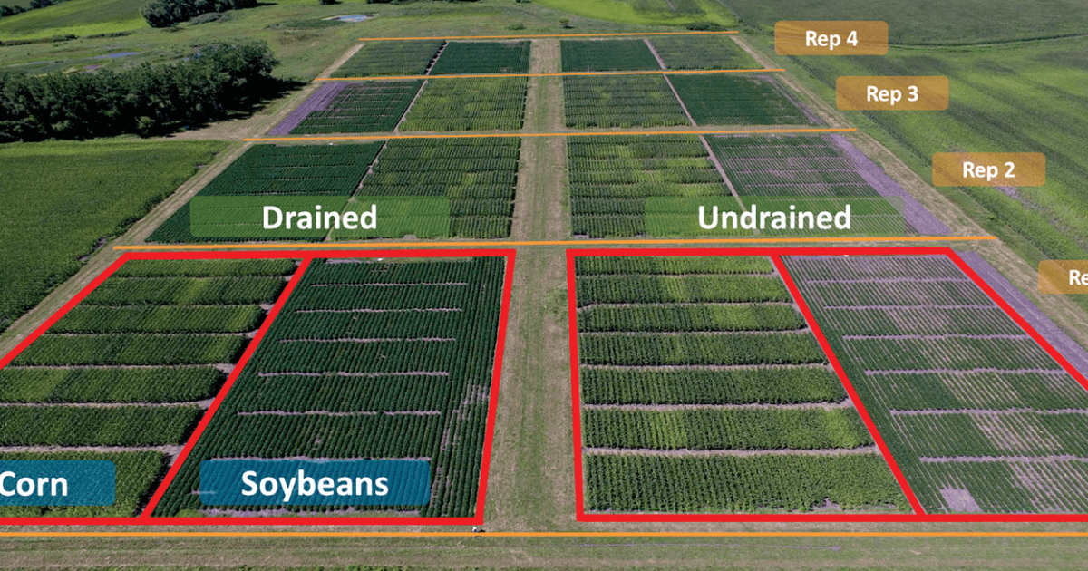 Nitrous Oxide Emissions From Soybean After Corn Nitrogen Management ...